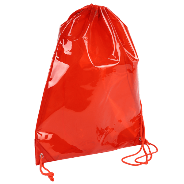 Phoenix Clear Drawstring Backpack 37