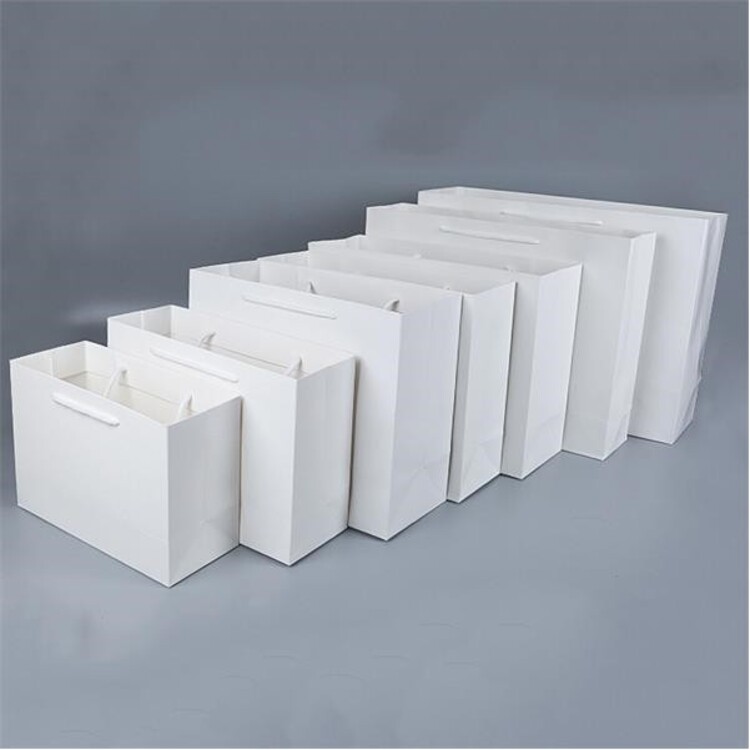 Kraft Shopping Gift Bag 2