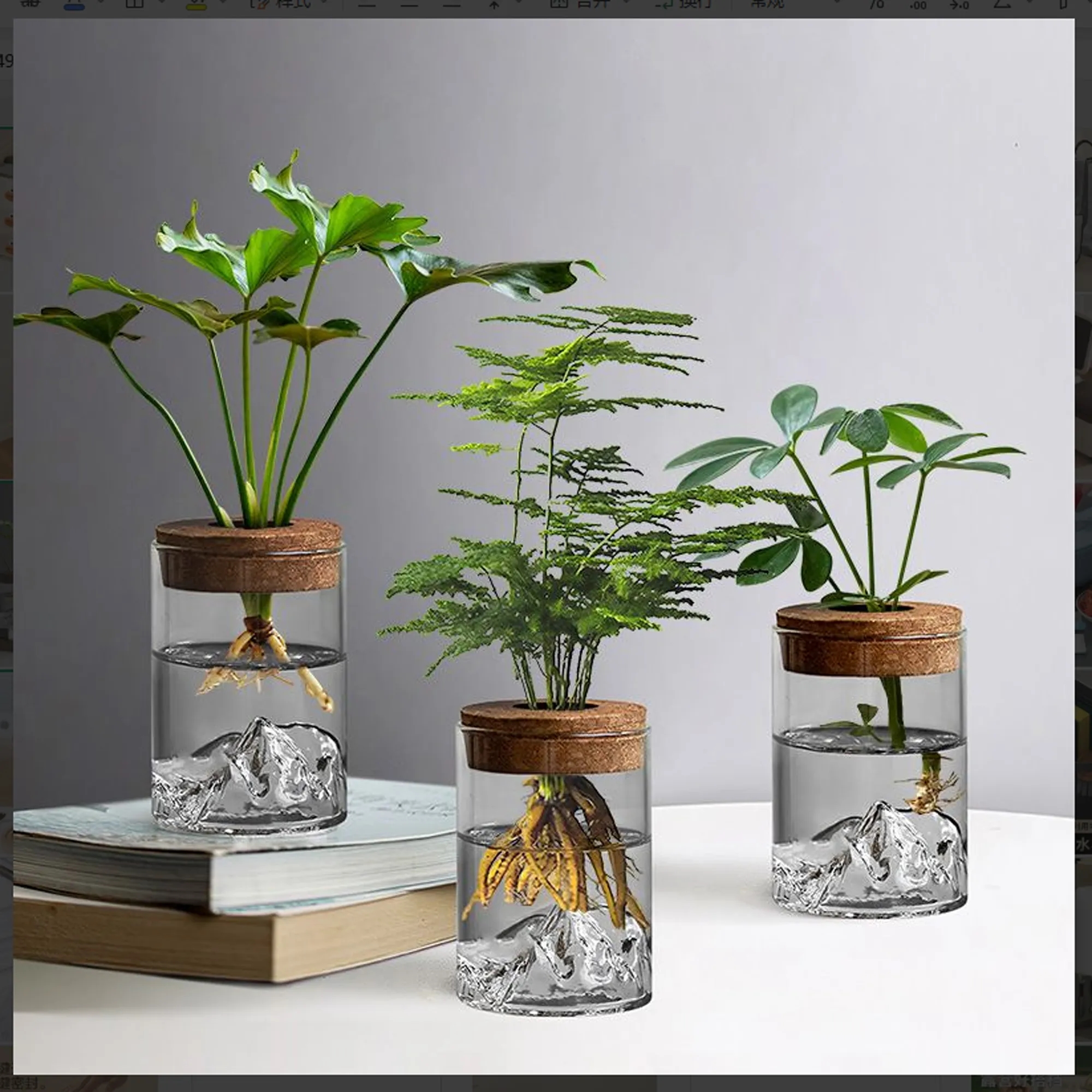 Hydroponic Small Potted Plant 2