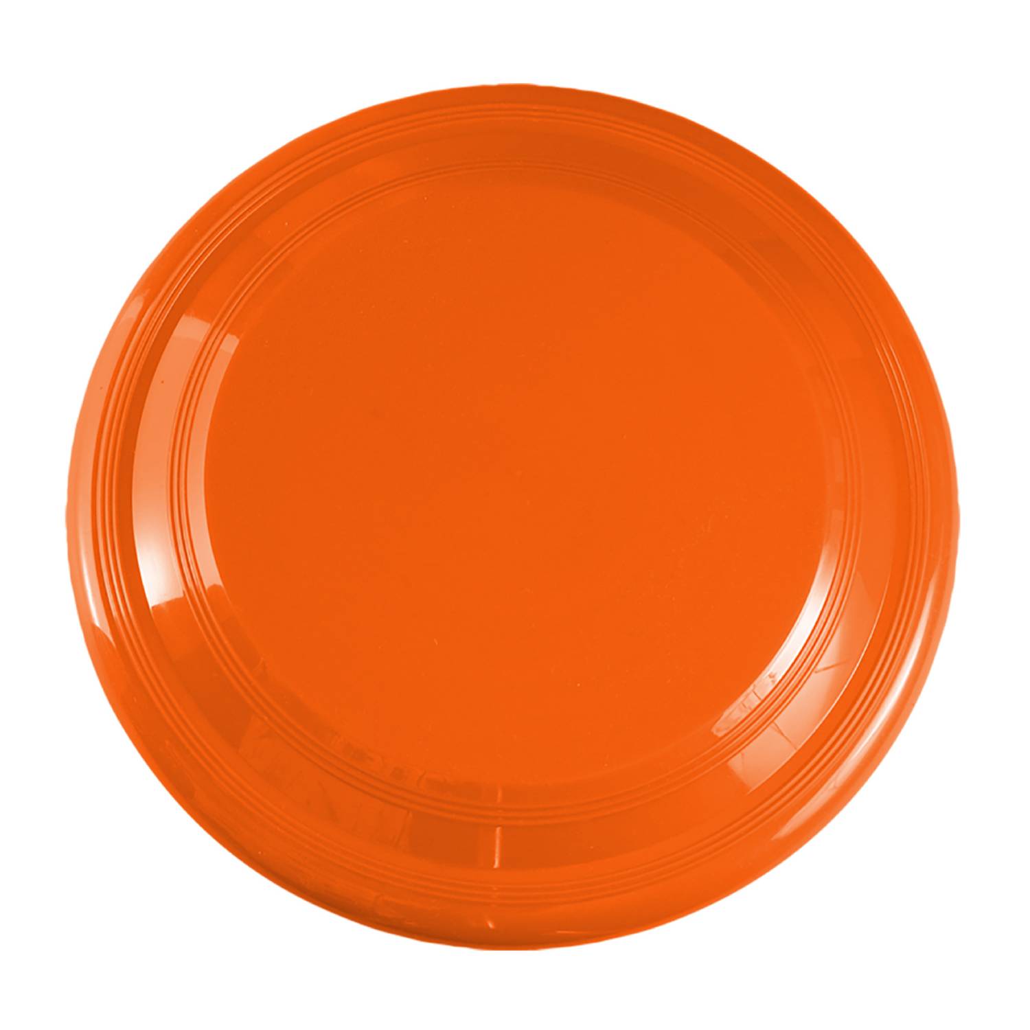 9 inch Flying Disc 5