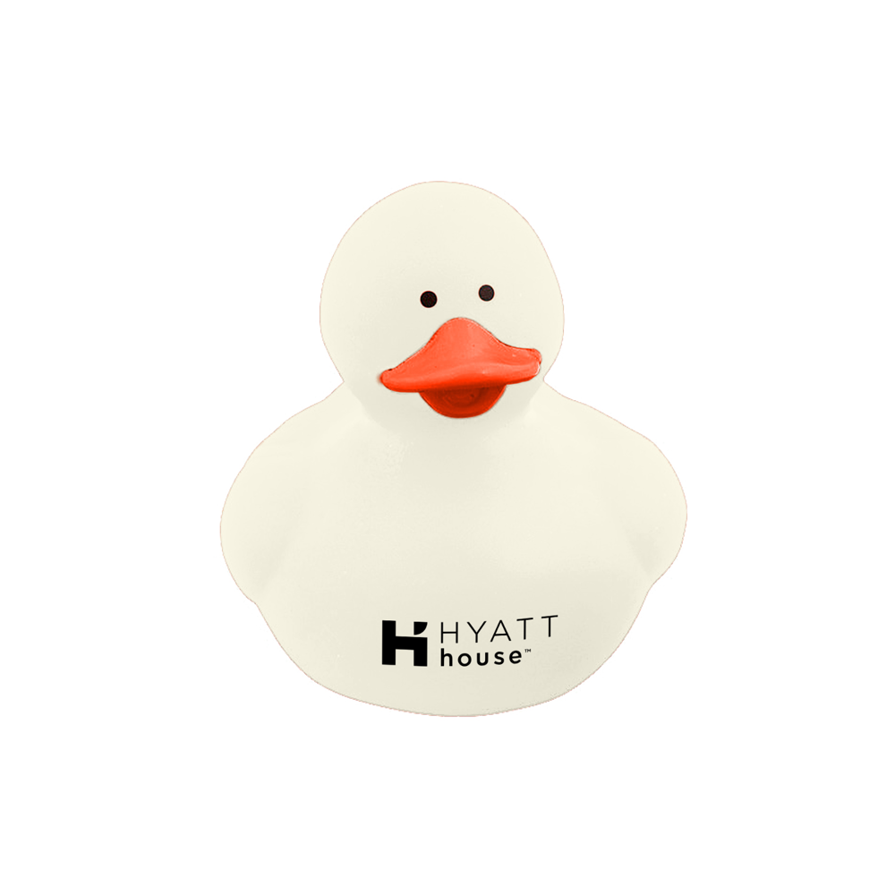 Colorful Duck 9