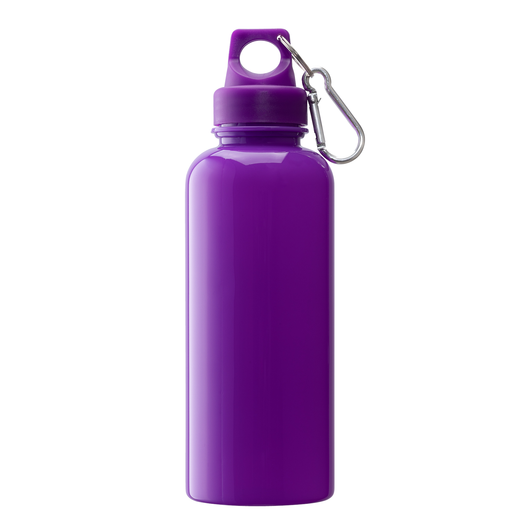 Brio 20 oz. PS Water Bottle w/ Carabiner 18