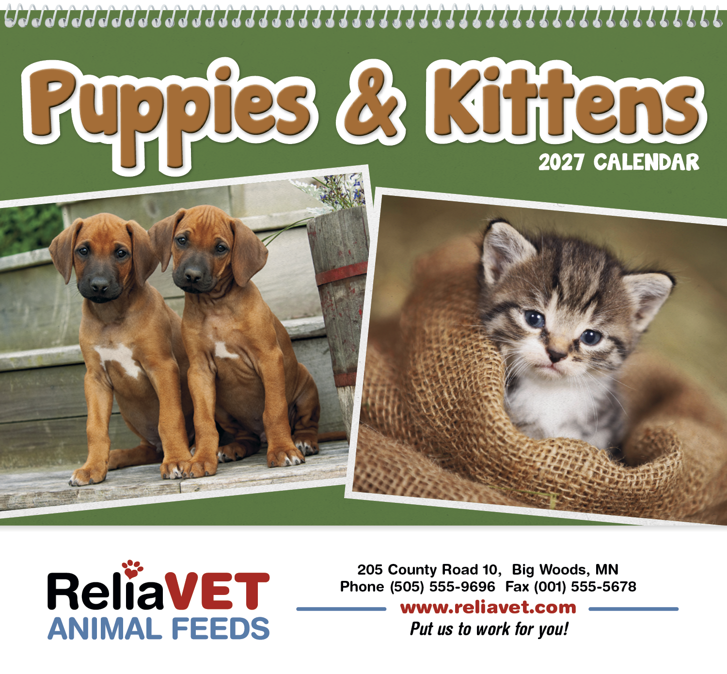 Triumph® Calendars Puppies & Kittens Pocket Calendar 34