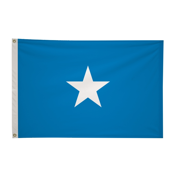 2' x 3'International Flag 278