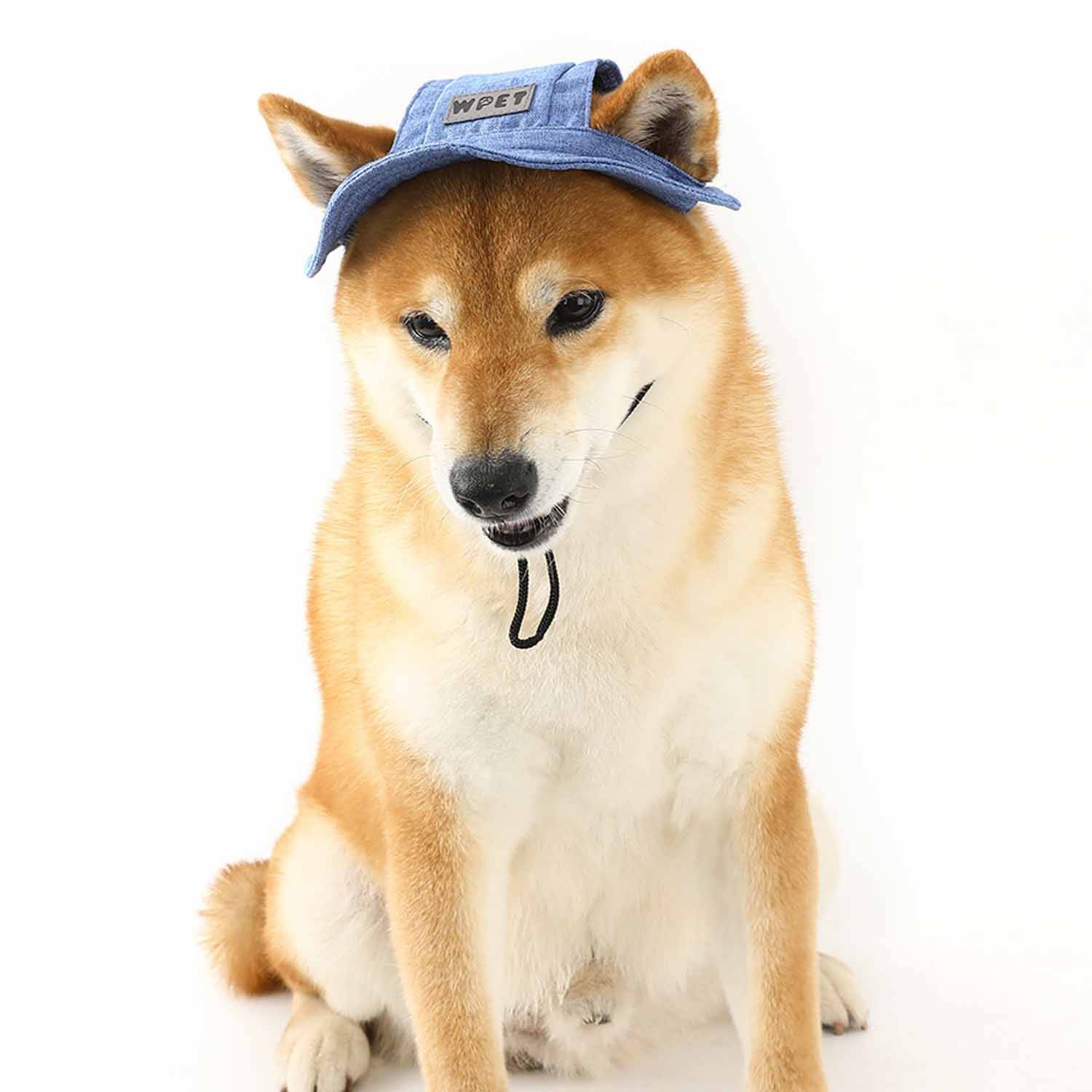 New pet hats 7