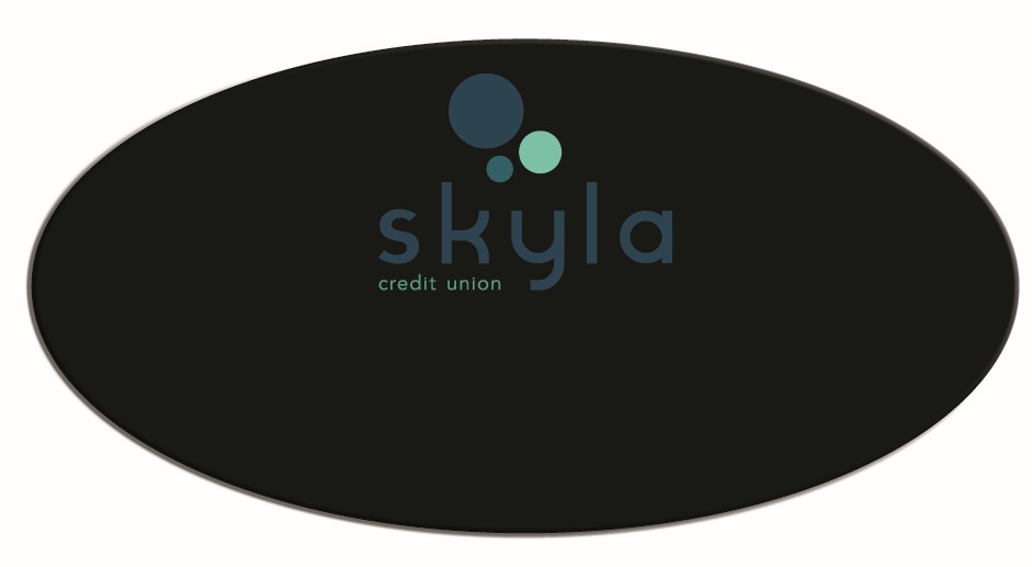 1.5 x 3" Black Oval Plastic Reusable Badge 6