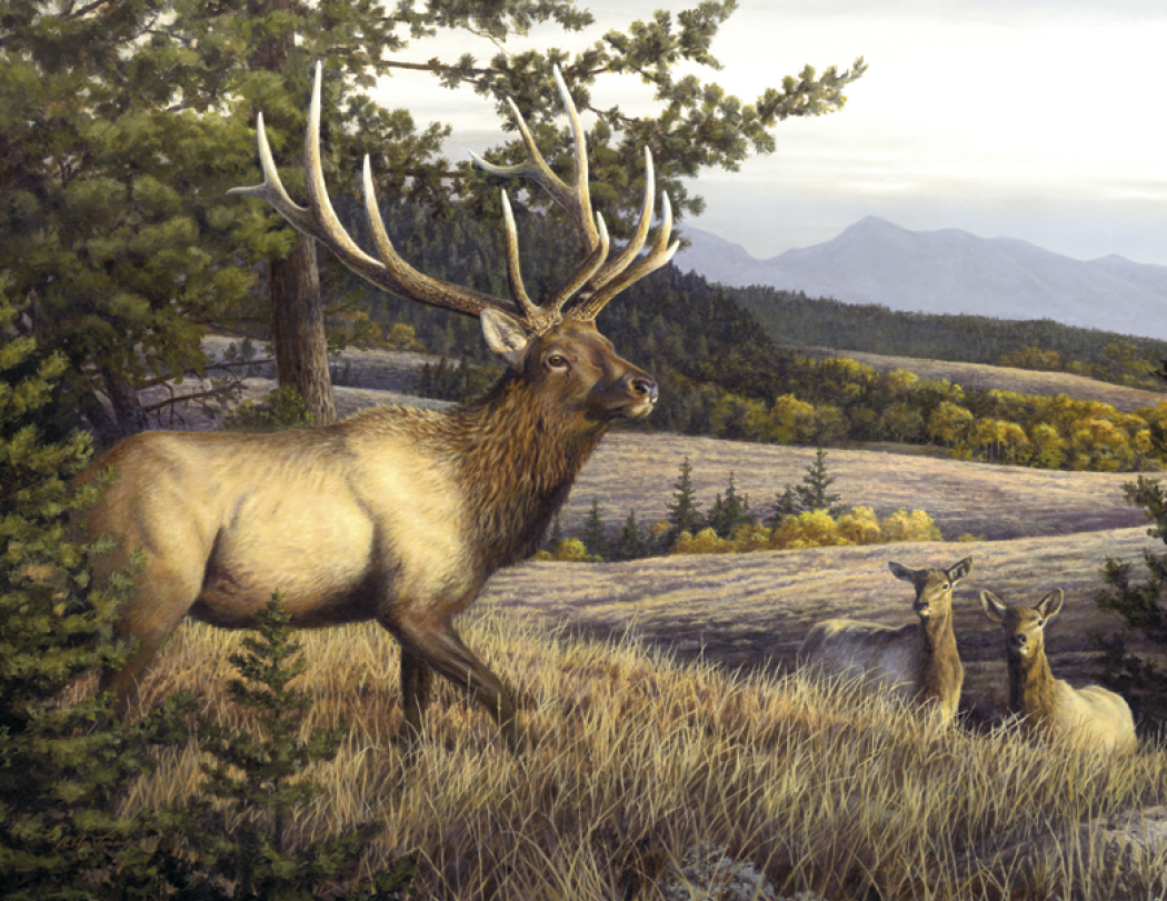 Triumph® Calendars Wildlife Art by the Hautman Brothers Calendar 28