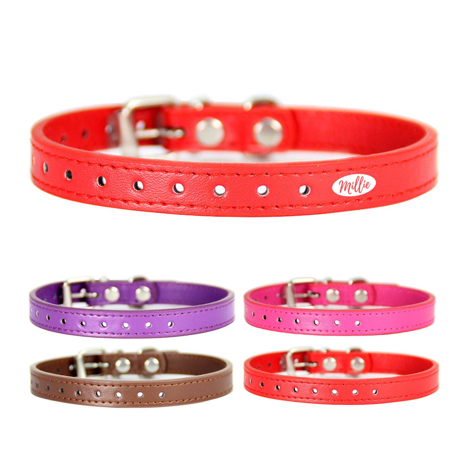 Adjustable Pet Collar for Small Medium Large Dogs