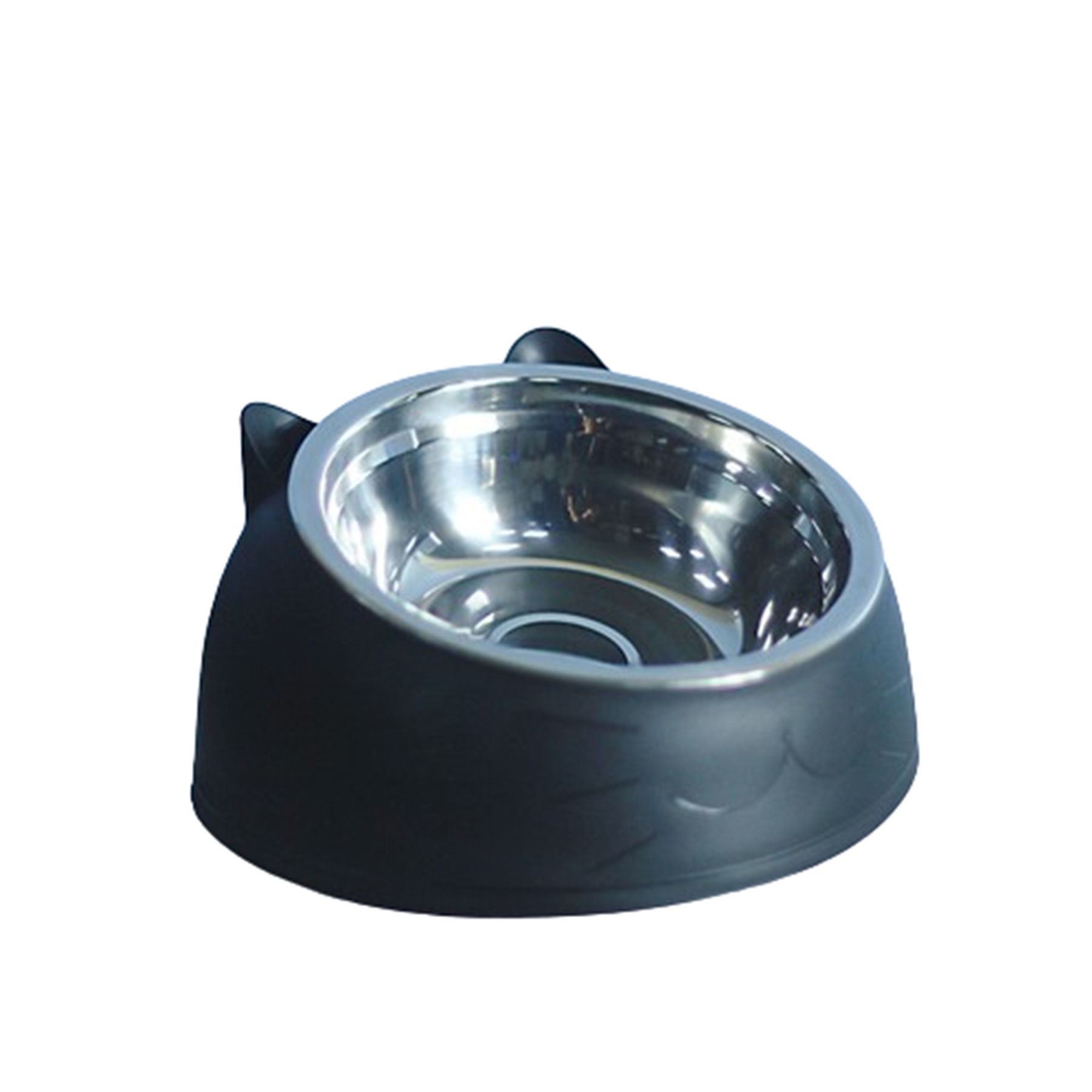 Stainless Steel Bevel Pet Bowl 7