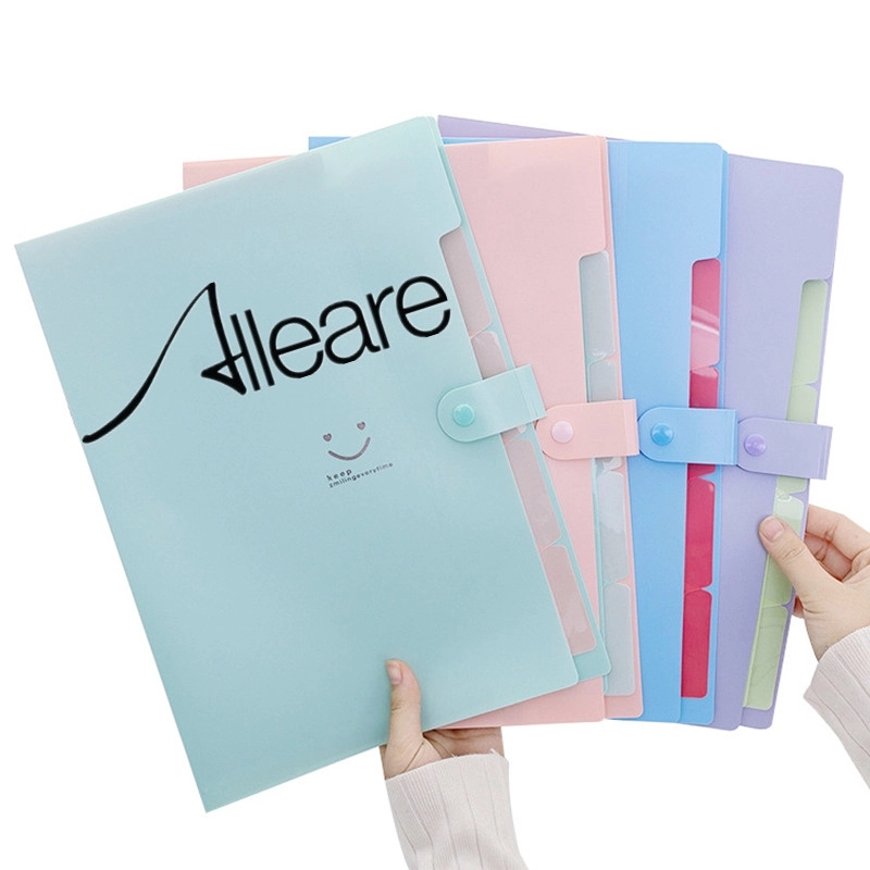 Organ File Organizer Folder 1