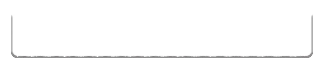 12 Inch Ruler Tag 2