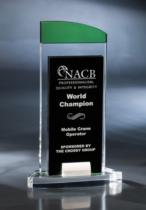 Artistic Expressions Crystal Night Trip Award 2