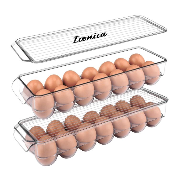 Clear Egg Carton 3