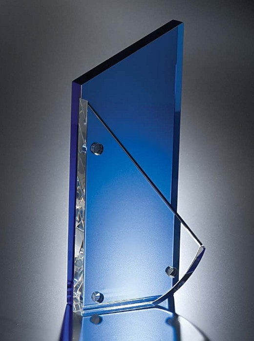 Contemporary Vistas Crystal Palladium Award 2