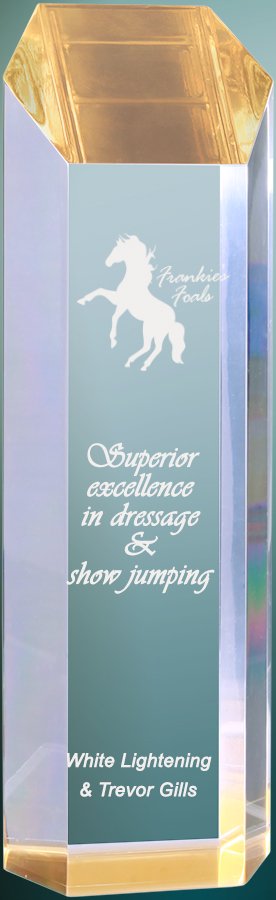 3" x 10" Gold Tower Acrylic Award