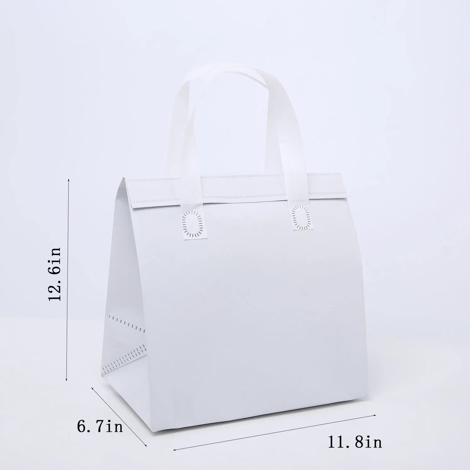 Disposable Aluminum Foil Insulated Bag 5