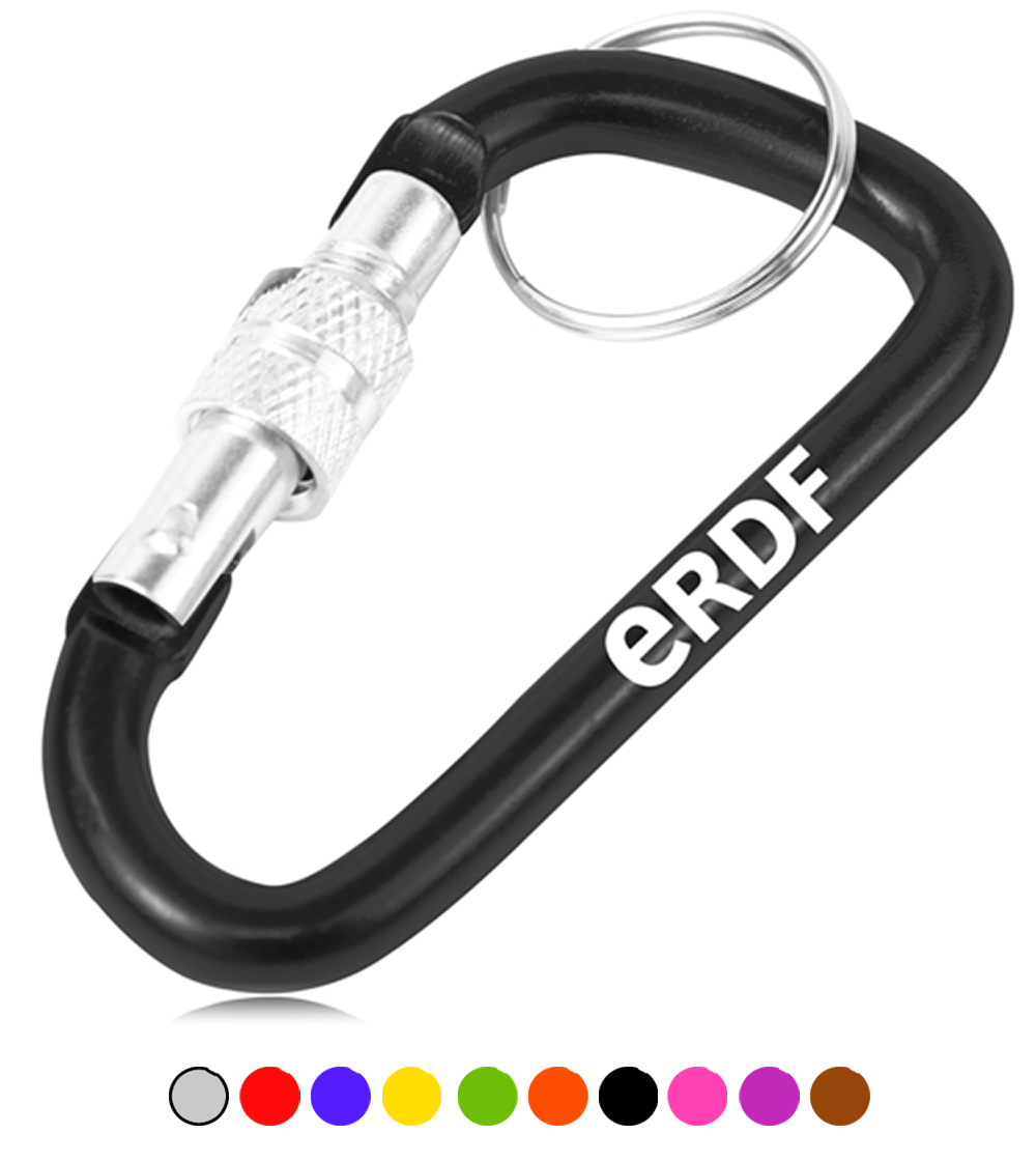 Screw Lock D Hung Carabiner Keyring 2