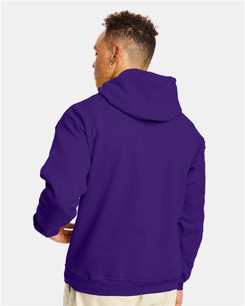 Unisex EcoSmart® Hooded Sweatshirt - P170 360