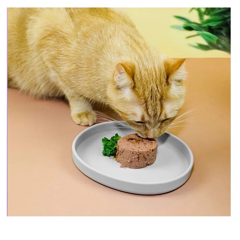 Durable Silicone Pet Feeding Bowl 2