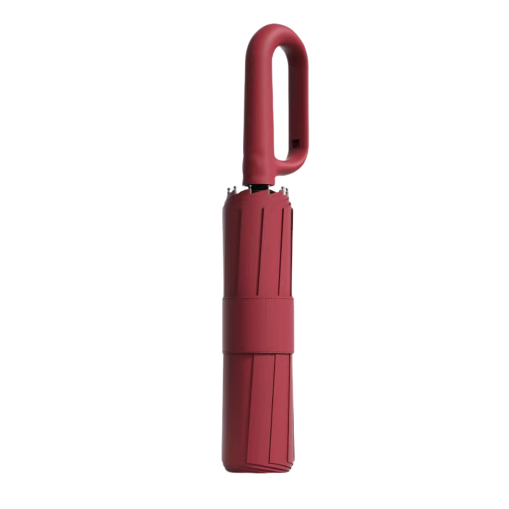 Loop & Clip Executive Auto-Folding Umbrella 1