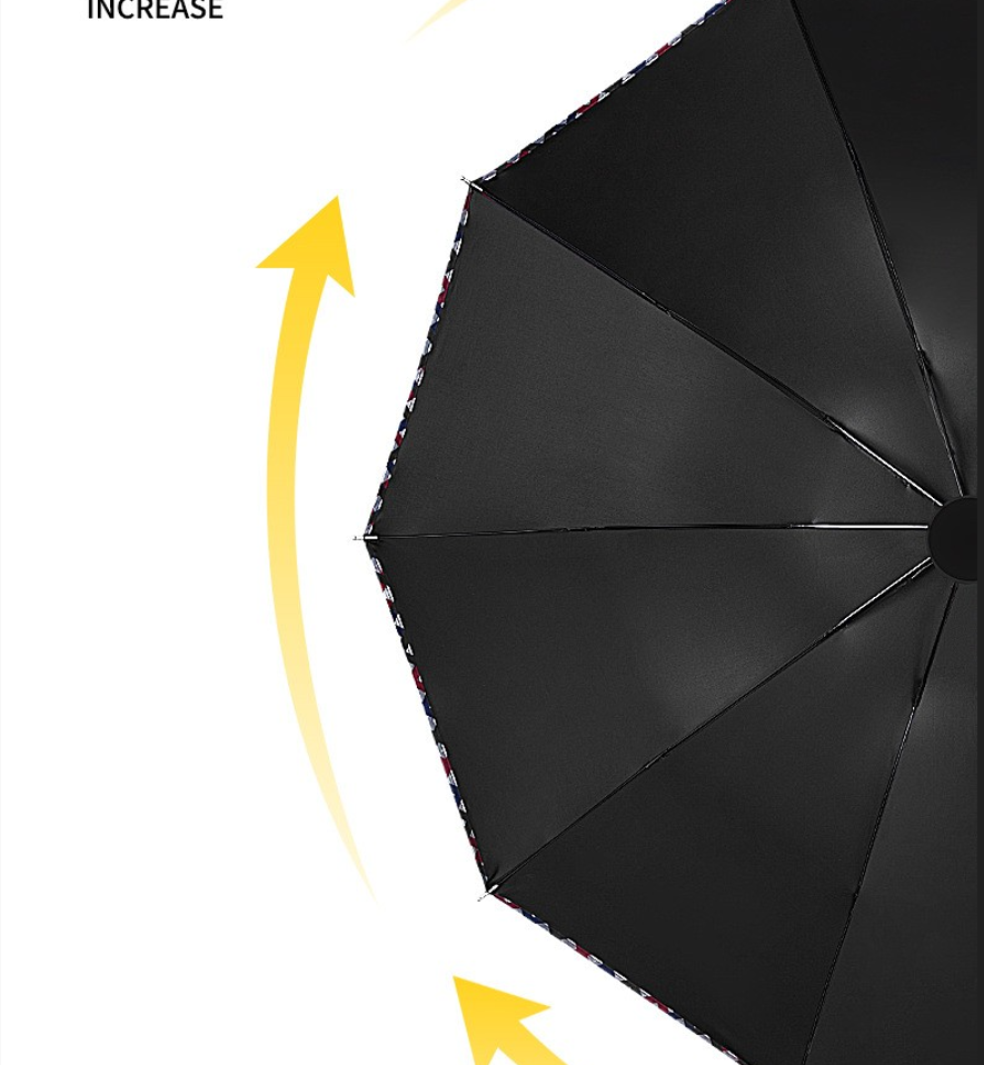 Rain and sunny business umbrella