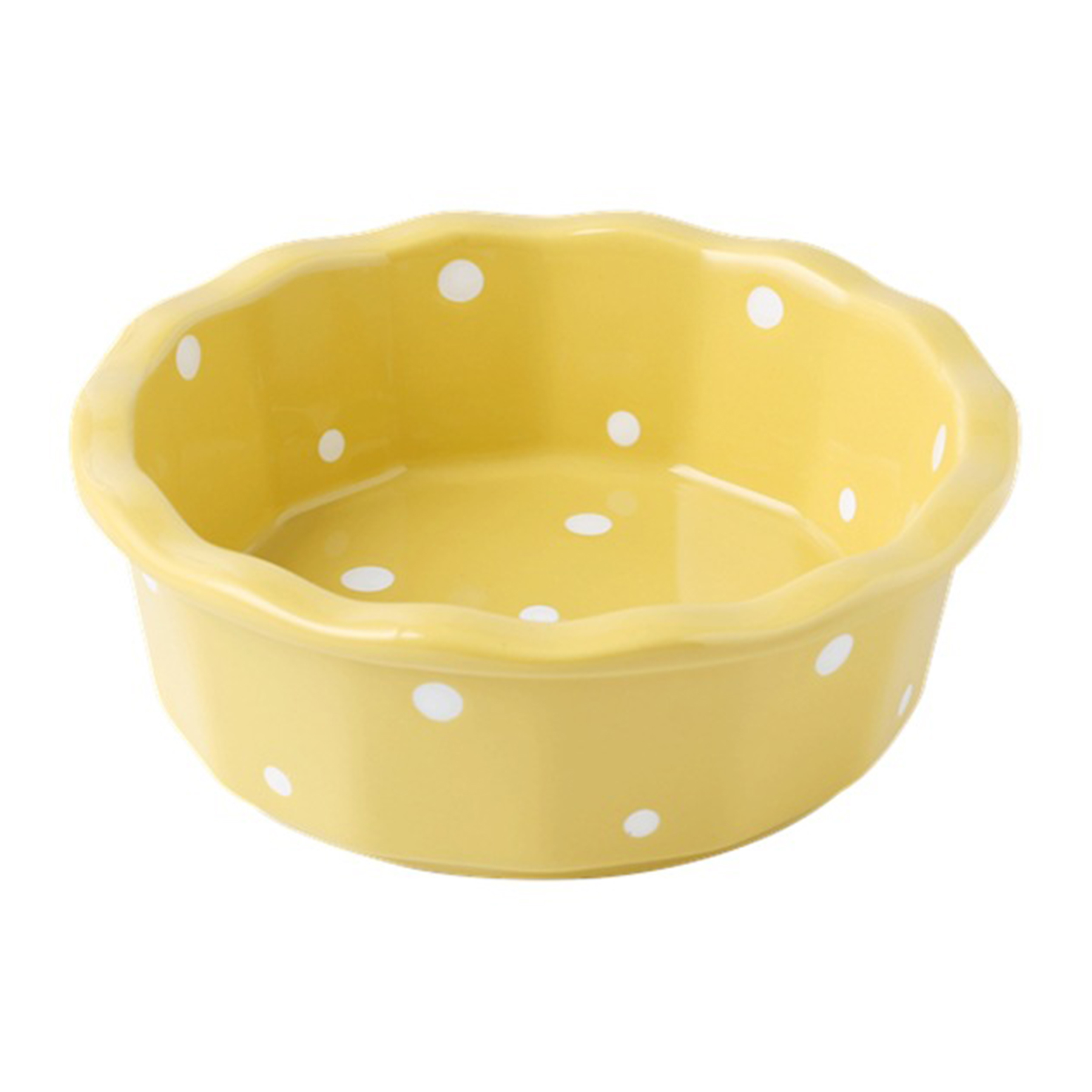 Ceramic Cervical Protection Cat Food Bowl 10