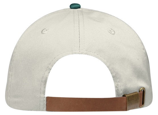 OTTO CAP 6 Panel Low Profile Dad Hat 3