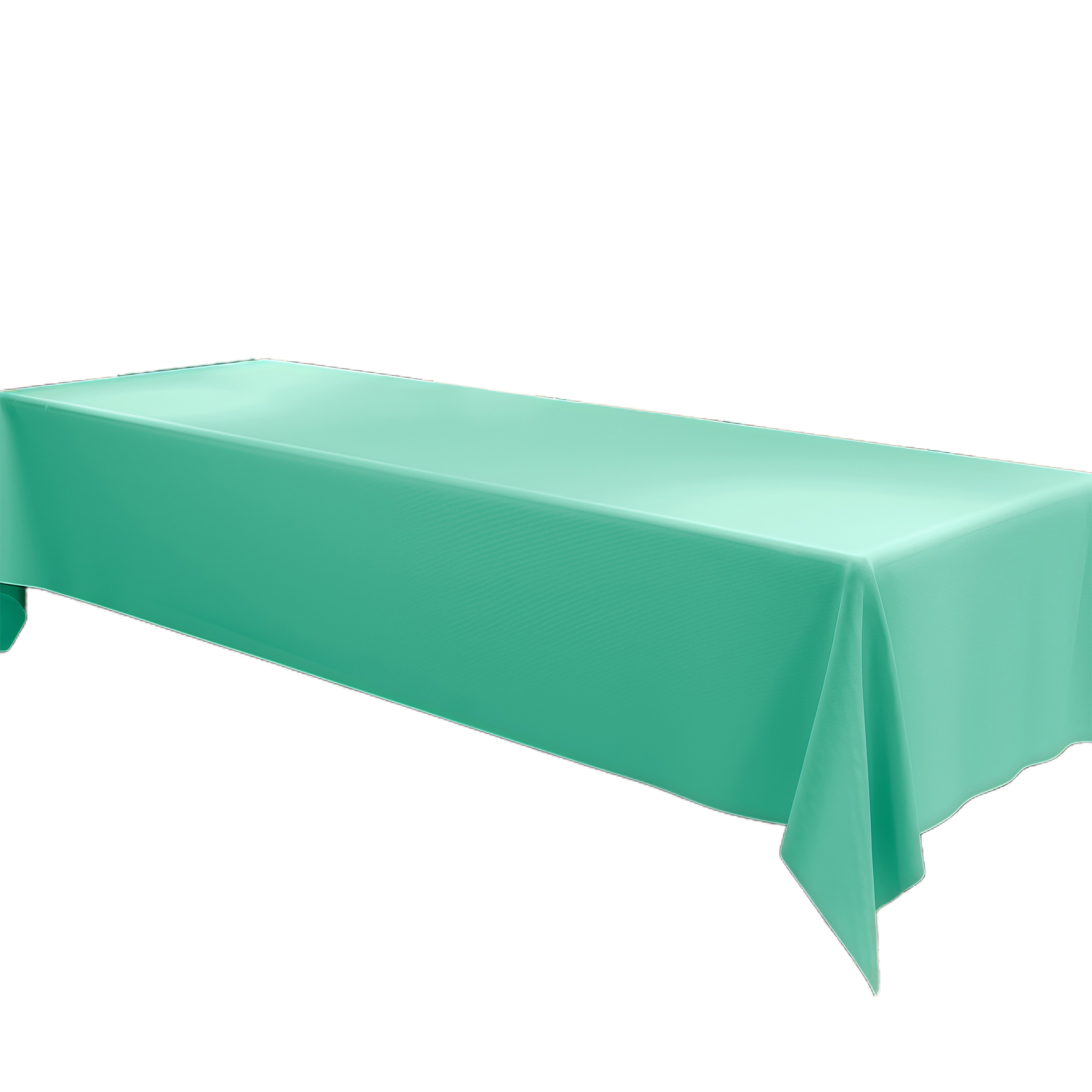 39x79" Rectangle Tablecloth for Conference 5