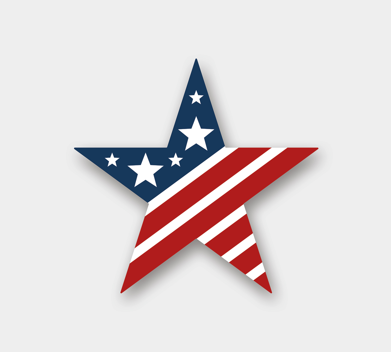 Star - Removable Writeable Matte Sticker - 3.125" x 3" 2