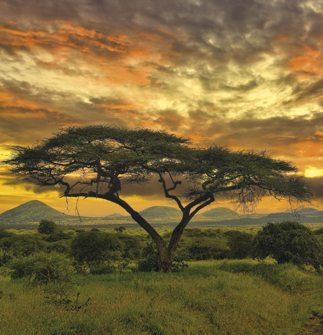 Triumph® Calendars World Scenic Calendar 30