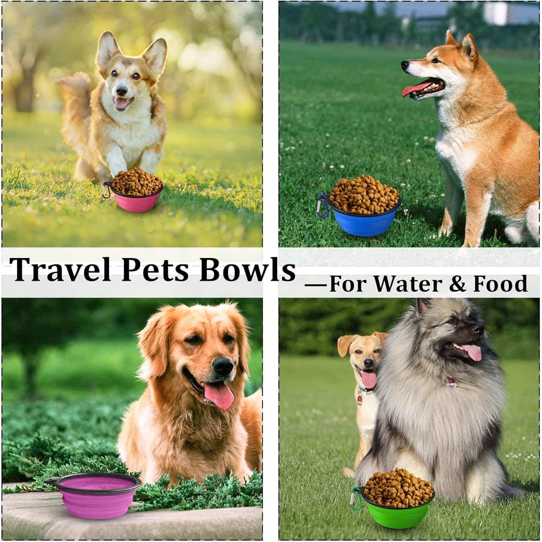 Collapsible Portable Pet Bowl 3