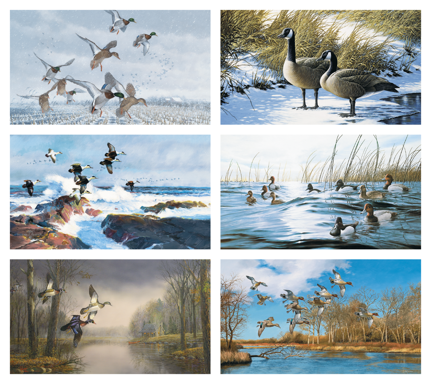 Triumph® Calendars North American Waterfowl Calendar 13