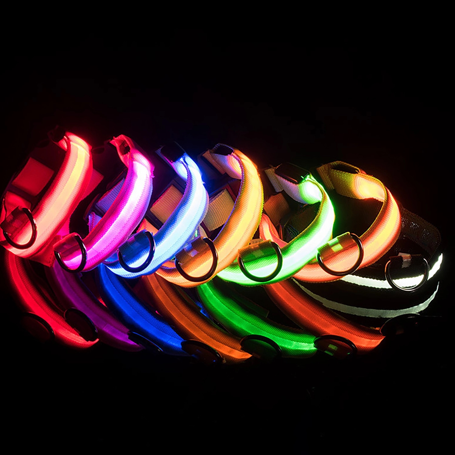 Led Dog Collar 5