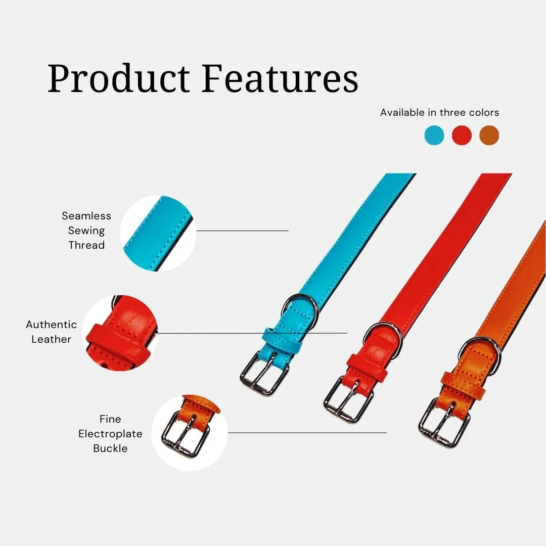 Microfiber Leather Pet Collar 3