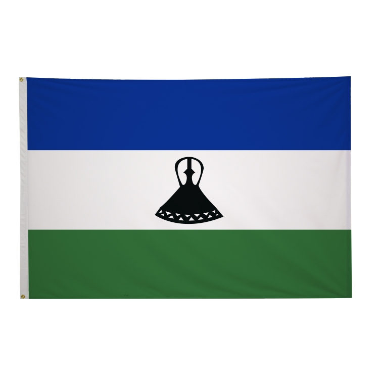 4' x 6' International Flags 296