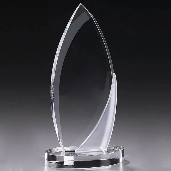 Corporate Surge Crystal Award 6