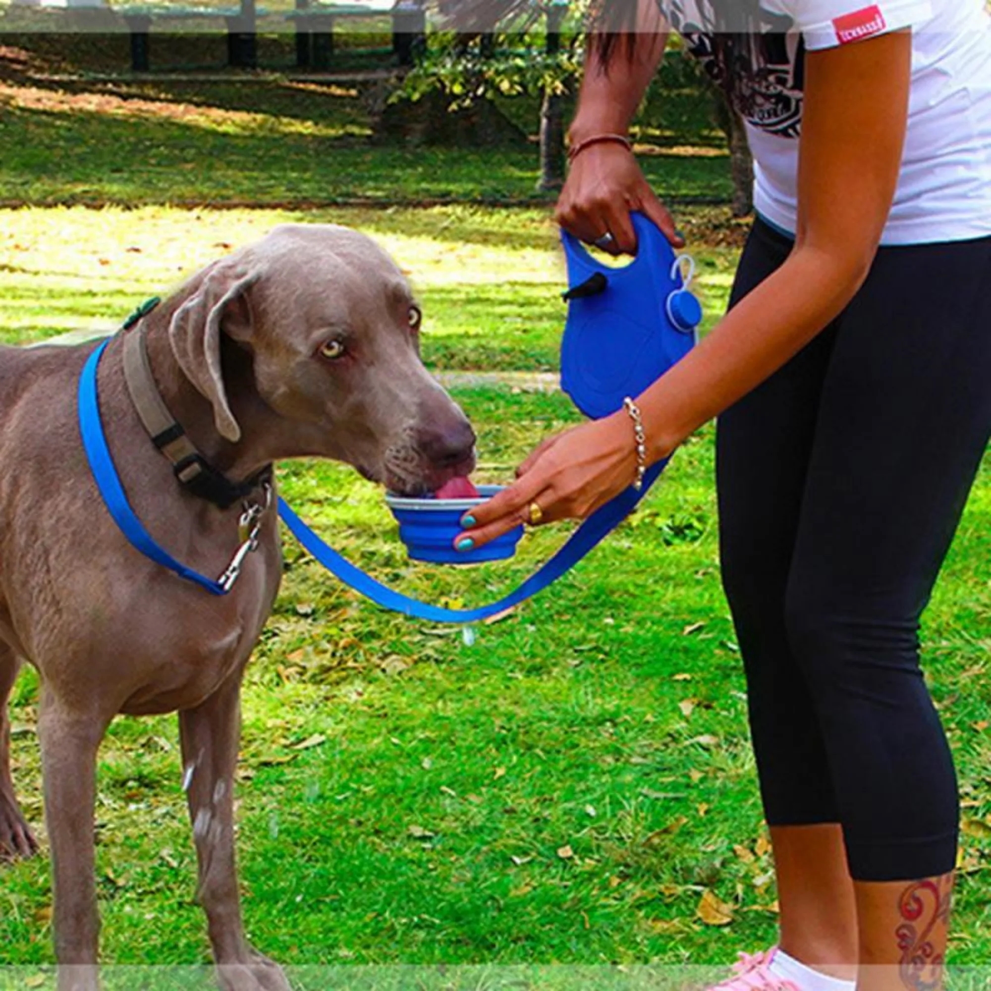 5-In-1 Water Bottle Dog Leash 2
