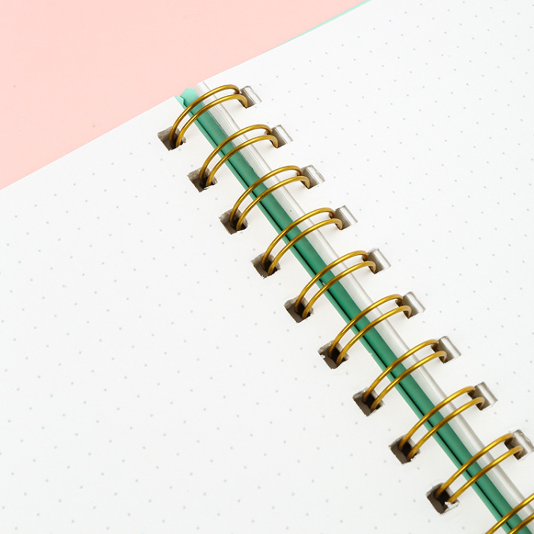 Spiral Notebook 3