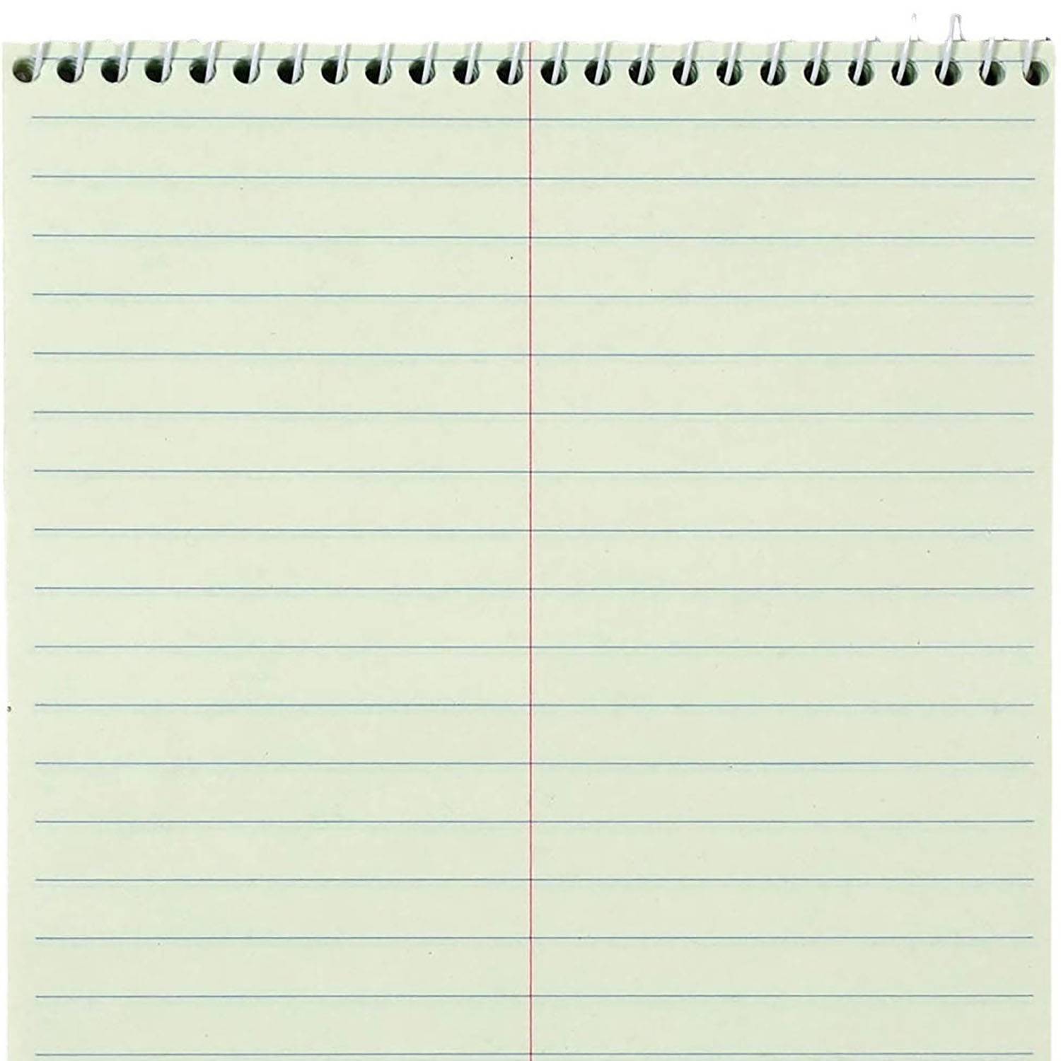 Spiral-Bound Steno Notebook 10