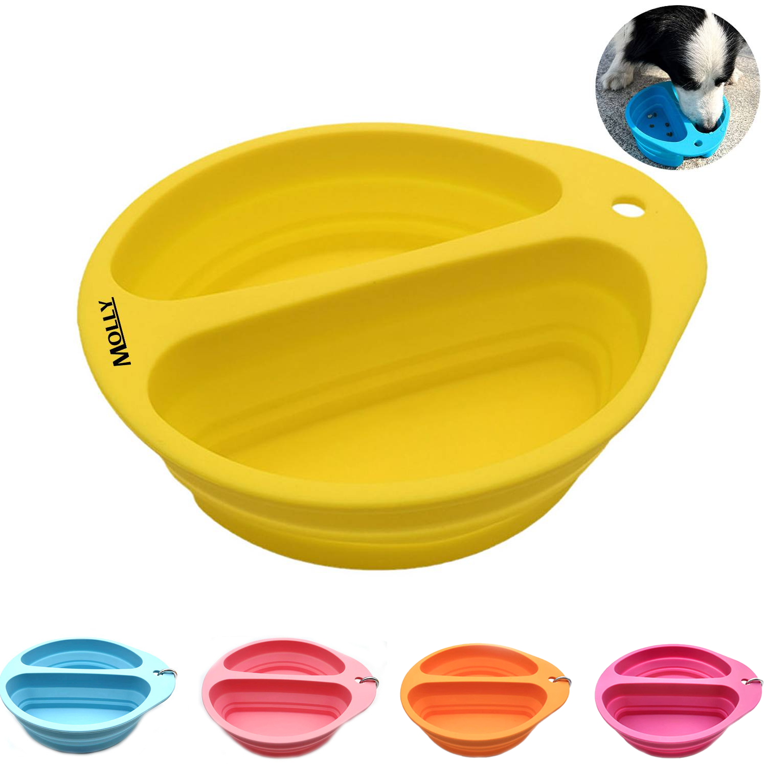 Collapsible Pet Bowl 9