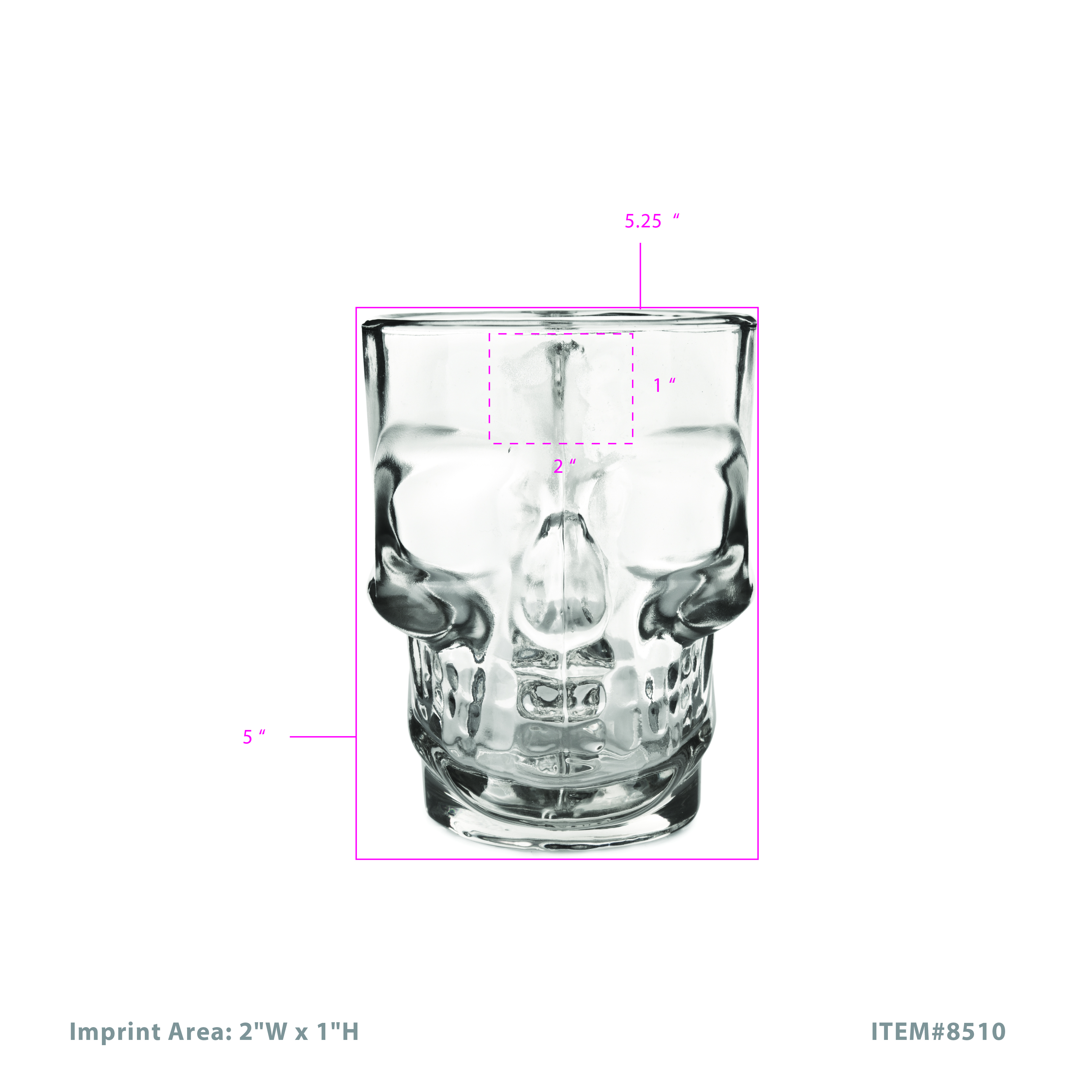 Skull Beer Stein 4