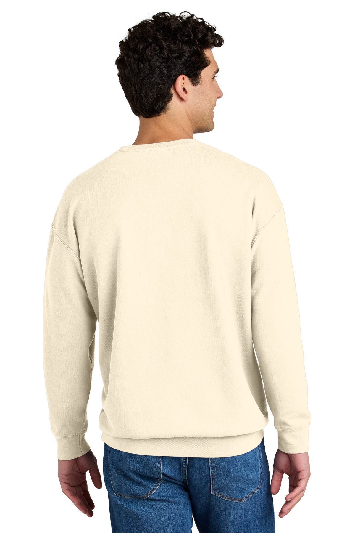 Comfort Colors Lightweight Crewneck Sweatshirt 1466 43
