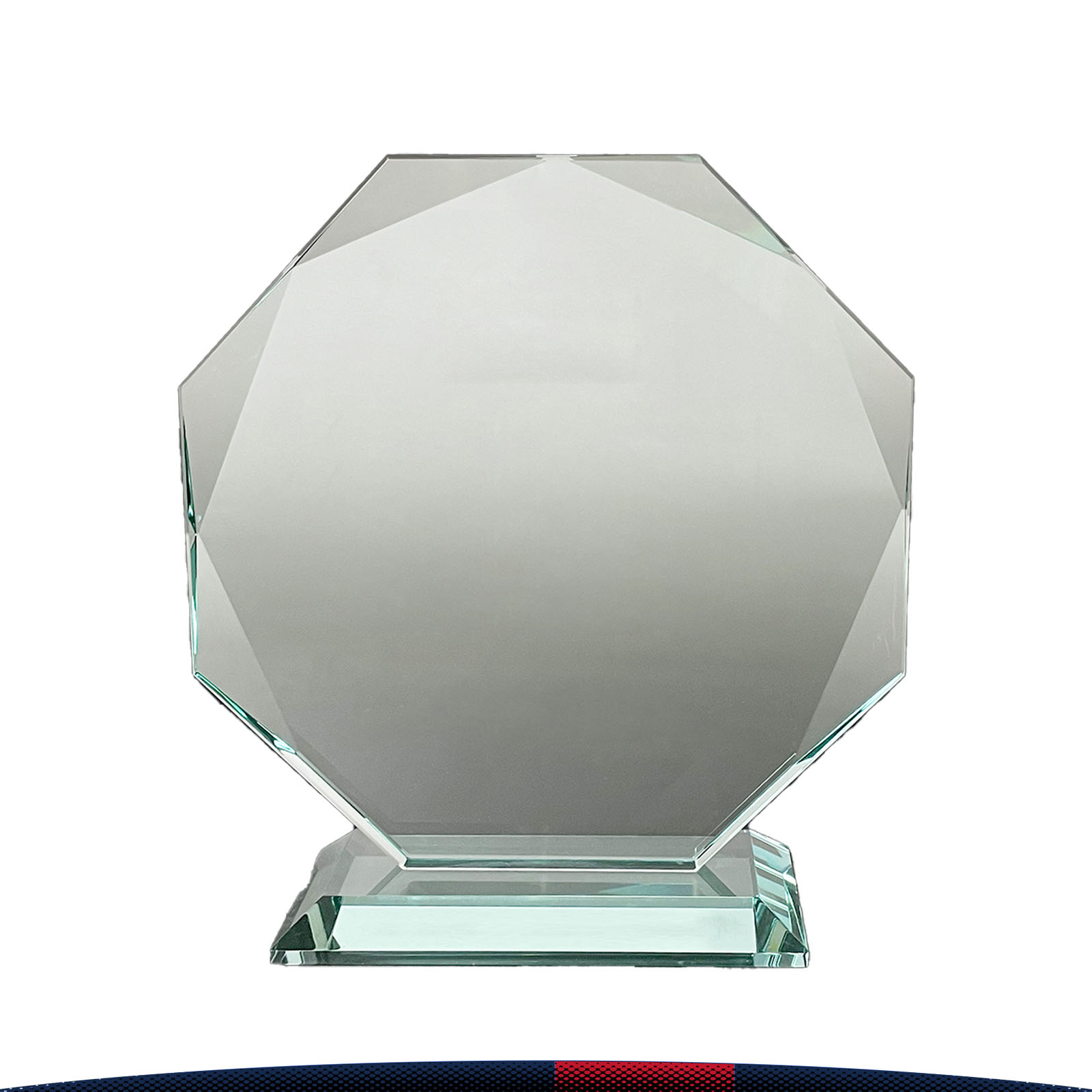 Vioy Octagon Award 4