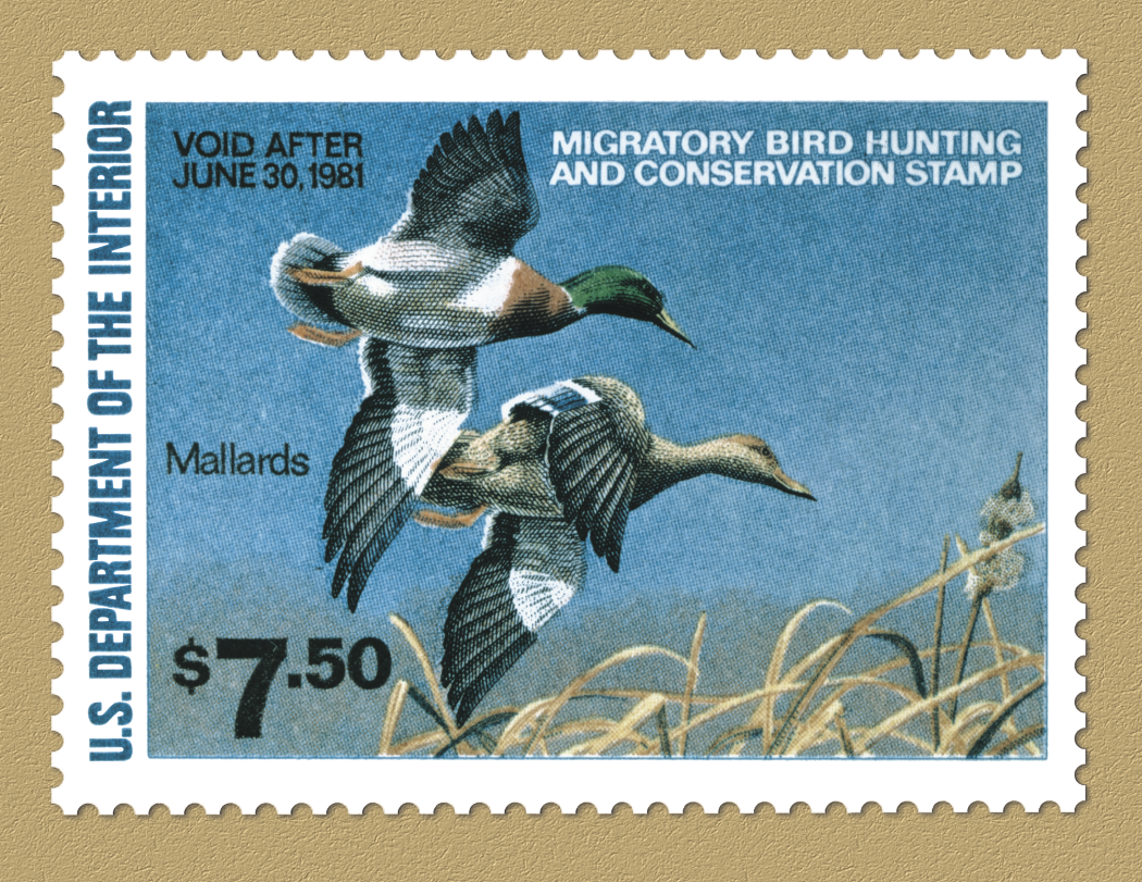 Triumph® Calendars Duck Stamps Calendar 44