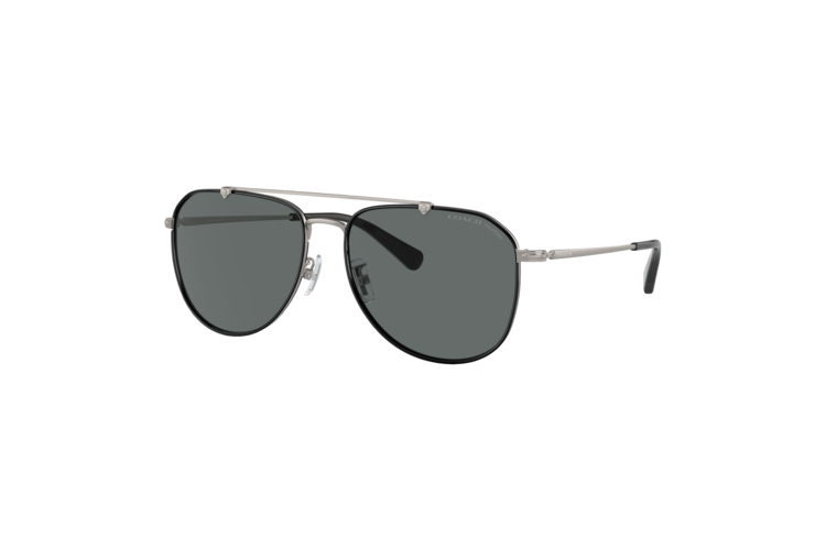 Coach Polarized Metal Windsor Pilot Sunglasses 1