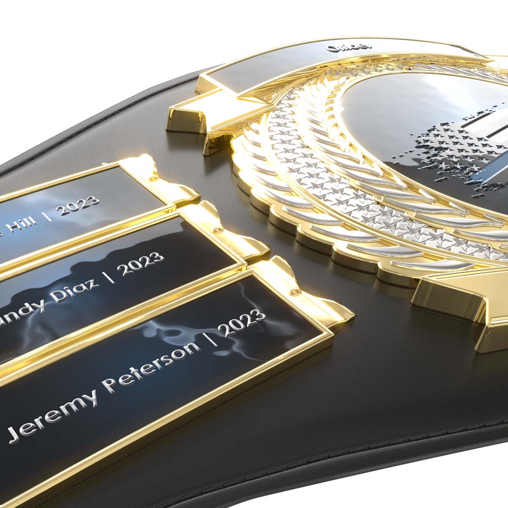 Championship Belt With Name Plates 7