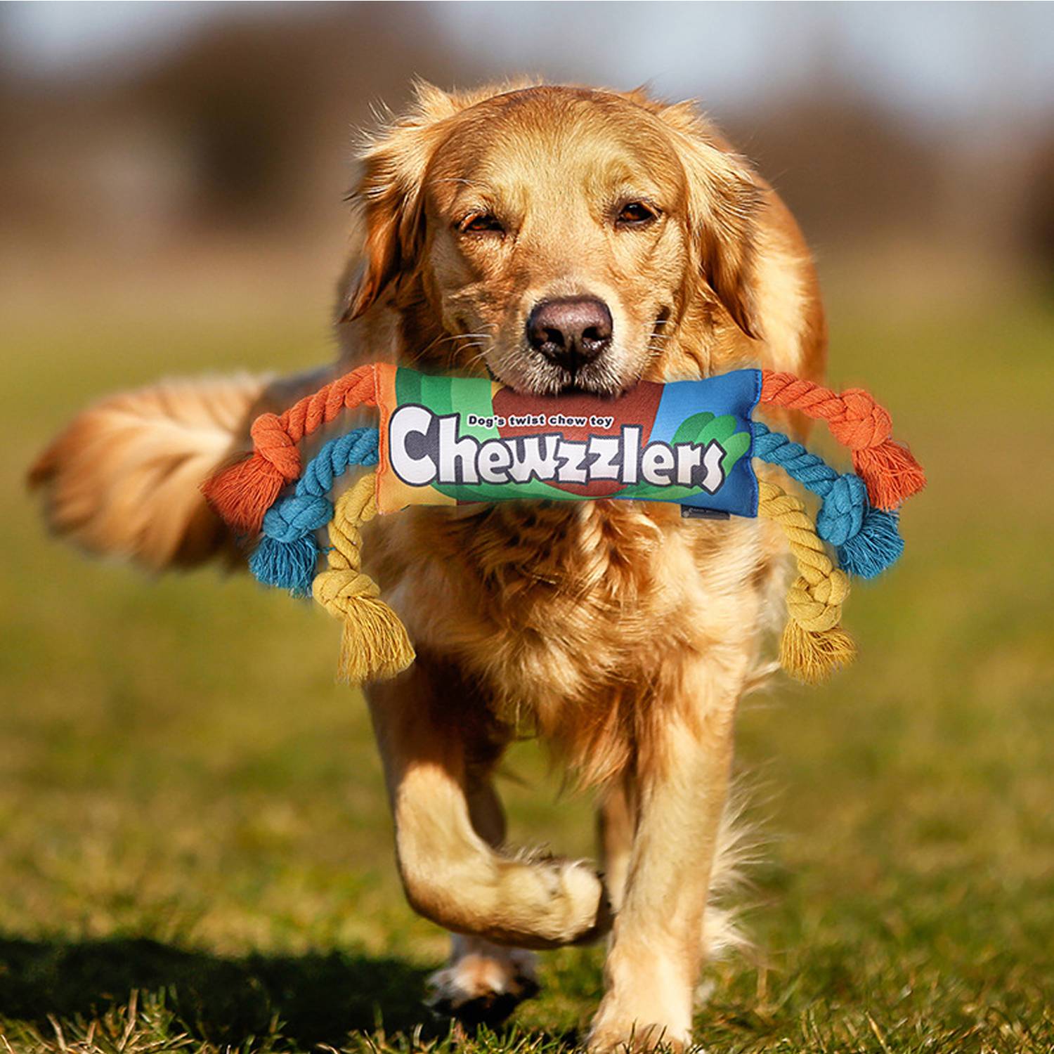 Squeaky Rainbow Twist Pet Chew Toy 7