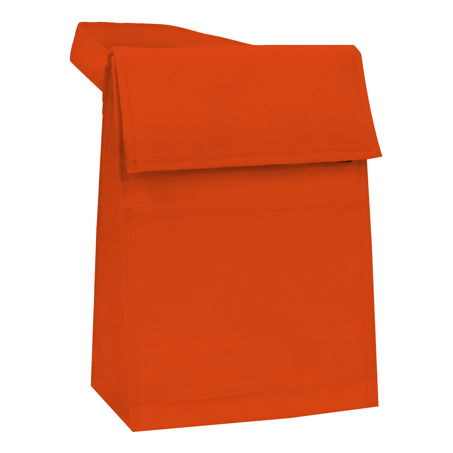 Non Woven Lunch Pack 4