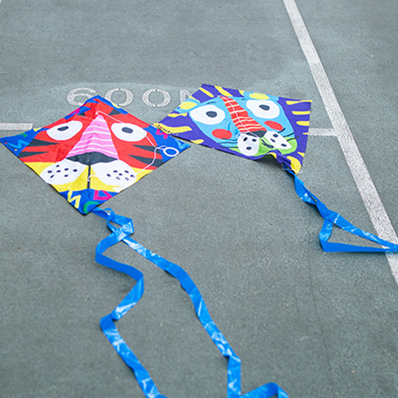 Diamond Kite 3