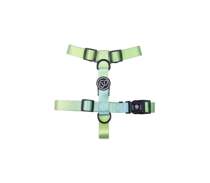 Stylish Adjustable Pet Vest Harness-Medium 3